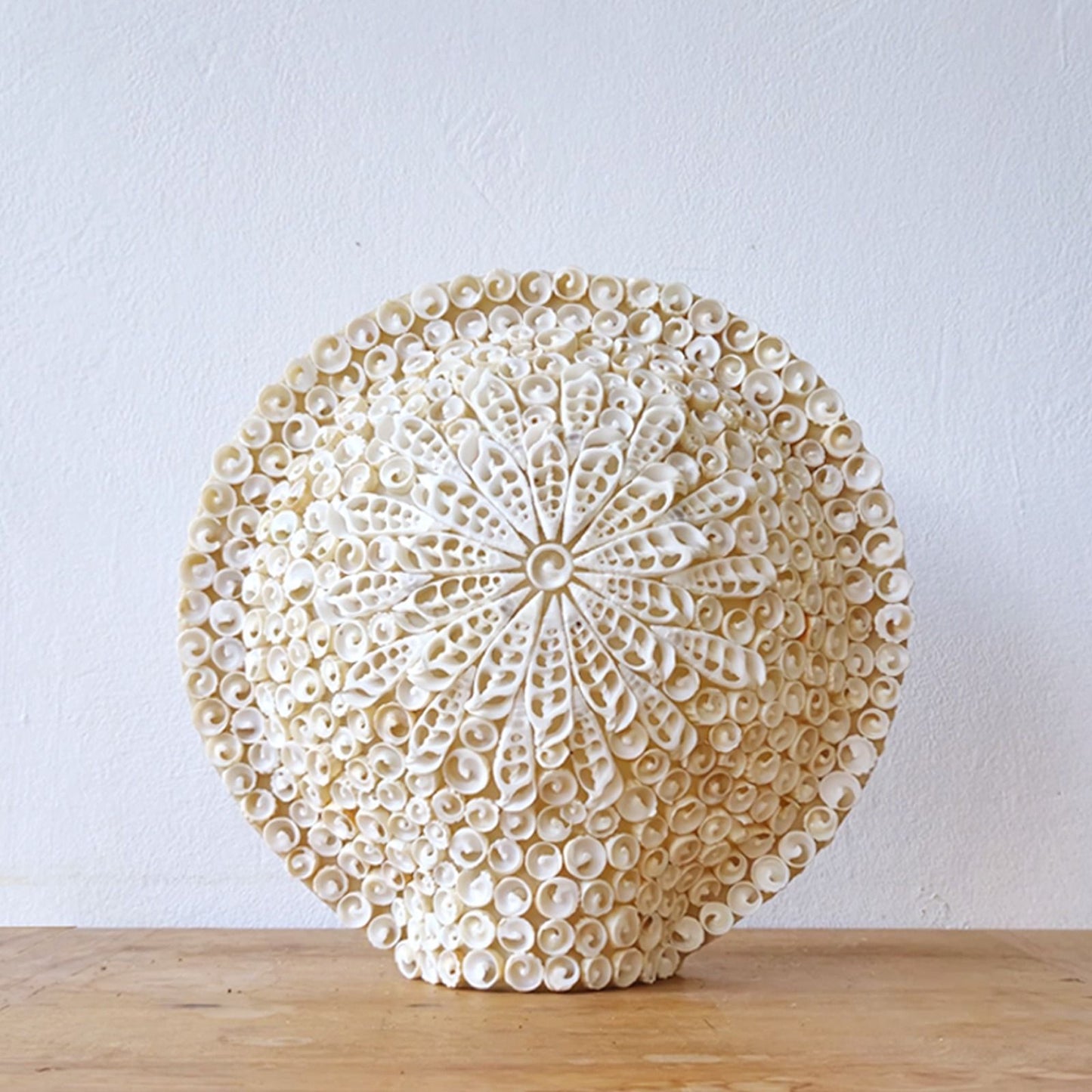 Boho Sea Shell Lamp Cut Art Shell Large Round