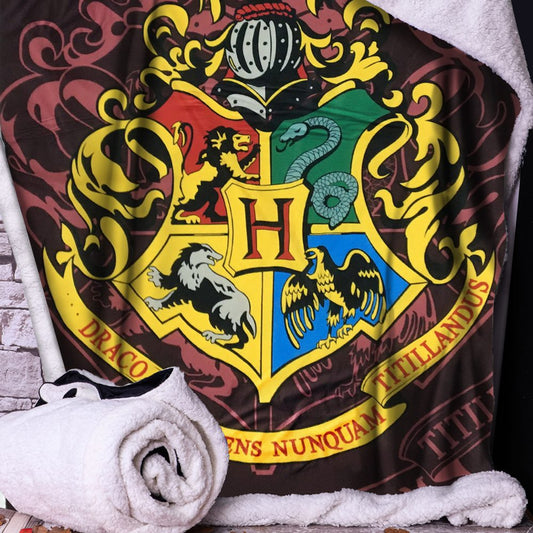 A blanket displays a colorful crest featuring a lion, snake, badger, and eagle around a central "H." It includes text: "Draco Dormiens Nunquam Titillandus," against a brick wall background.