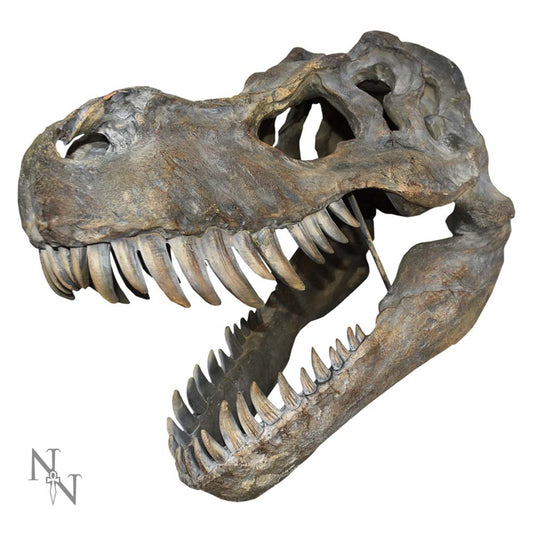 A Tyrannosaurus Rex skull, with sharp teeth prominently displayed, is positioned with an open jaw. The background is plain white, highlighting the skull's detailed textures. A logo with "N/T" is in the corner.