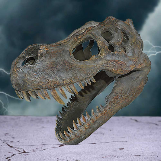 A dinosaur skull with open jaws is positioned over a cracked stone surface. In the background, lightning strikes amidst a dark, stormy sky.