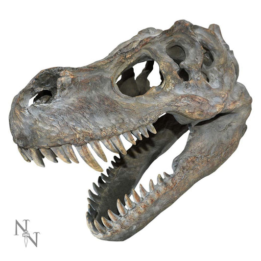 A realistic T. rex skull model with a prominent open jaw, showcasing sharp teeth and eye sockets, set against a plain white background. "NT" with a sword symbol appears in one corner.