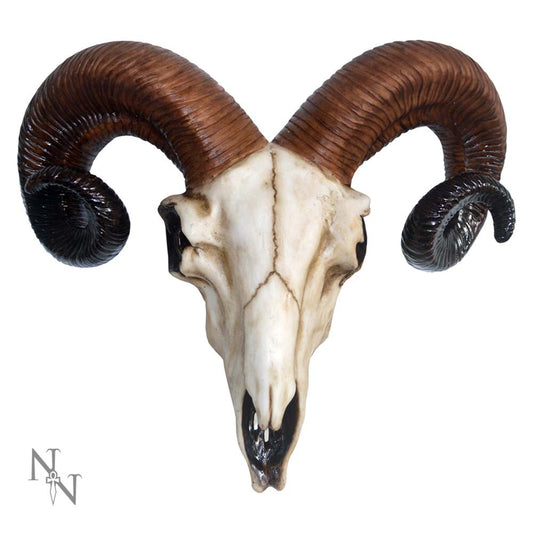 A detailed ram skull with large, curved horns spirals outwards. The skull is centered on a white background. In the lower left corner, there is a stylized letter "N" above a dagger design.