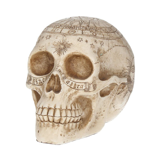 Skull covered in intricate engravings and astrological symbols, including "hic est draco" and "sic itur ad astra," rests against a plain, white background.