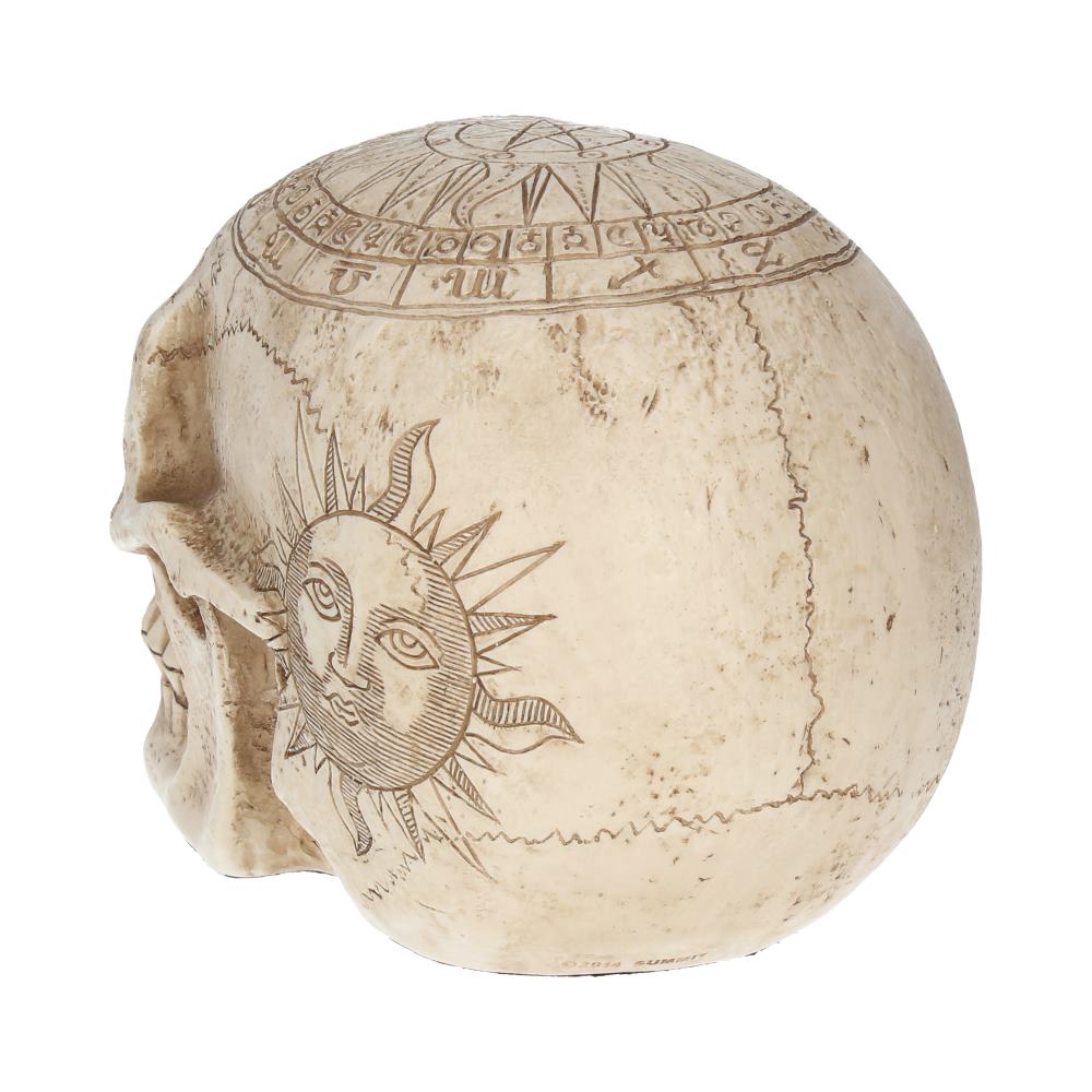 A detailed skull sculpture features a sun with a face etched on its side, surrounded by astrological symbols and patterns. The artwork appears on an off-white, textured surface.