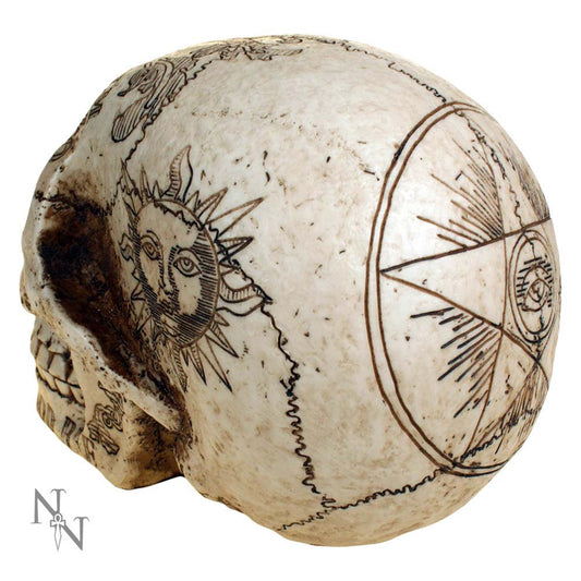 A carved skull features intricate sun and geometric designs, detailed with etched lines. It's positioned on a plain white background, with a small "N N" logo at the bottom left.