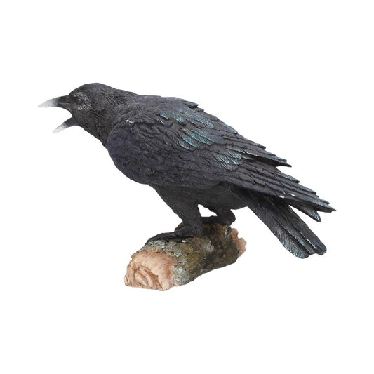 A crow, perched on a log, is captured mid-squawk with its beak open wide, all against a plain white background.