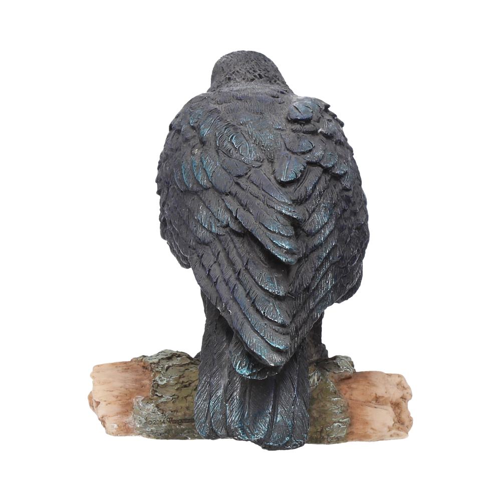 Ravens Call 20cm
