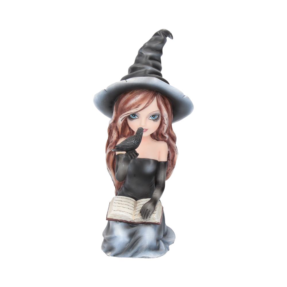 A figurine of a young witch holds a black bird while sitting with a spellbook, in a whimsical, enchanting style, wearing a dark, pointed hat and a matching outfit.