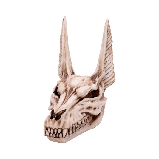 A skull with elongated, pointed ears and prominent teeth sits against a plain white background, resembling a mythical creature or fantasy design.