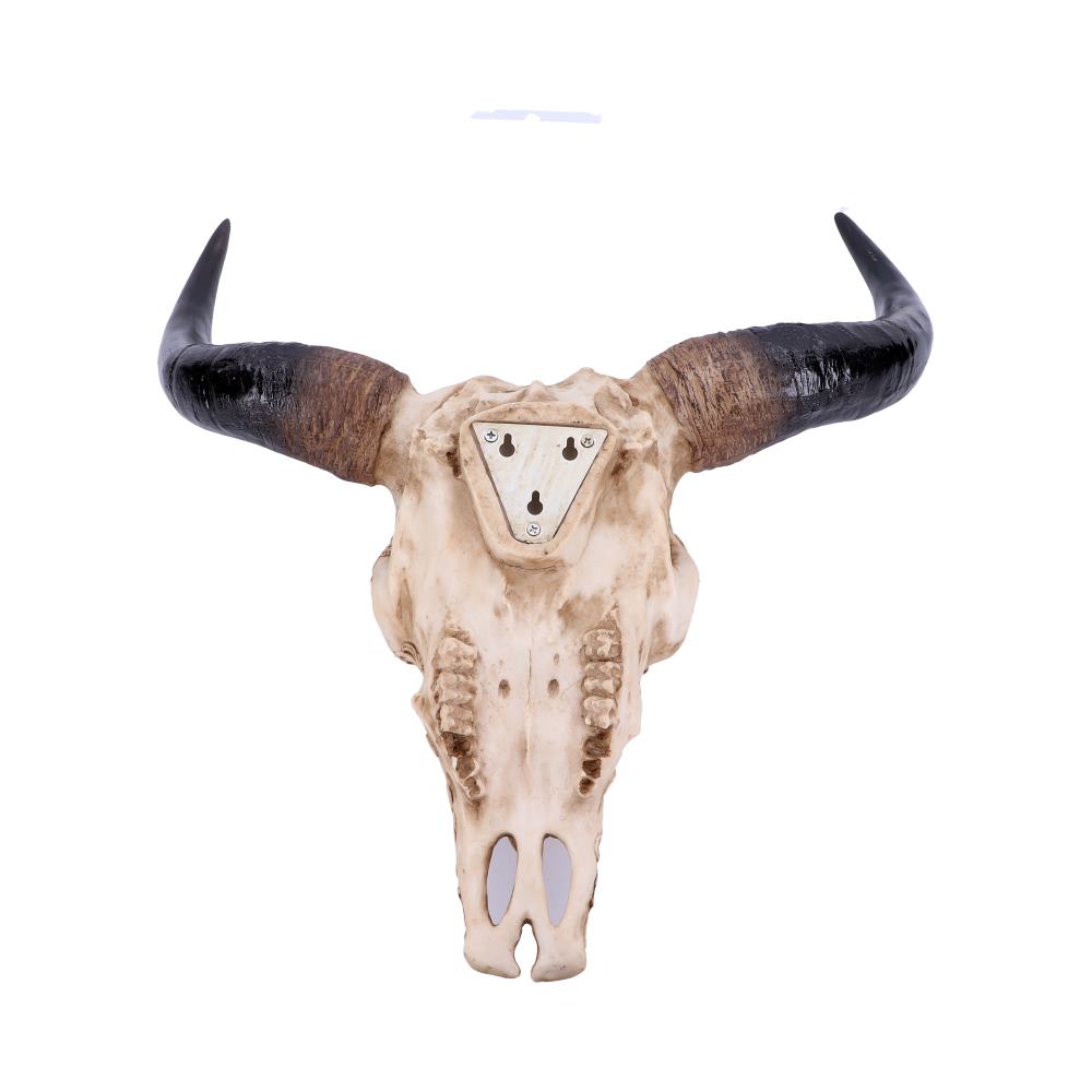 A bison skull with dark curved horns is mounted against a plain white background, featuring a metal plate with two keyhole-shaped openings for hanging.