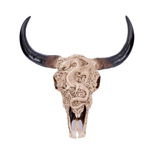 A carved buffalo skull featuring an intricate dragon design. The skull's dark horns curve outward, emphasizing the detailed artistry. It is set against a plain, white background.