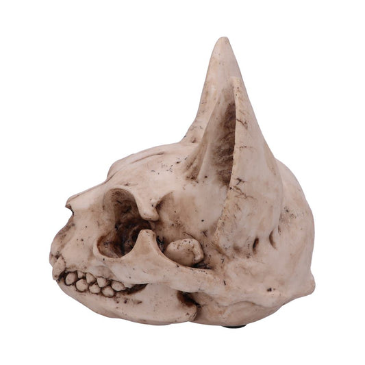 A sculpted skull with elongated ears, resembling a fictional creature, rests on a neutral background. It appears aged and textured, with visible teeth and detailed bone structure.