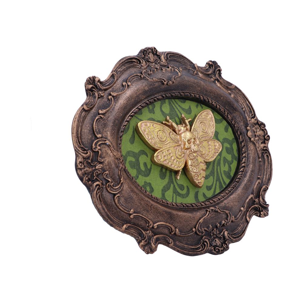 A gold moth with a skull head is displayed in an ornate dark brown frame against a green patterned background.