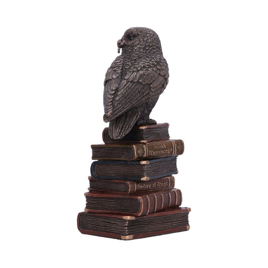 A detailed bronze owl sits atop a stack of books. Two book spines read, "Voynich Manuscript" and "History of Magic." The background is plain white.