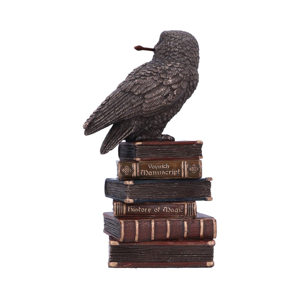 A detailed bird sculpture perches on a stack of books labeled "Voynich Manuscript" and "History of Magic," creating a mysterious and scholarly atmosphere against a plain background.