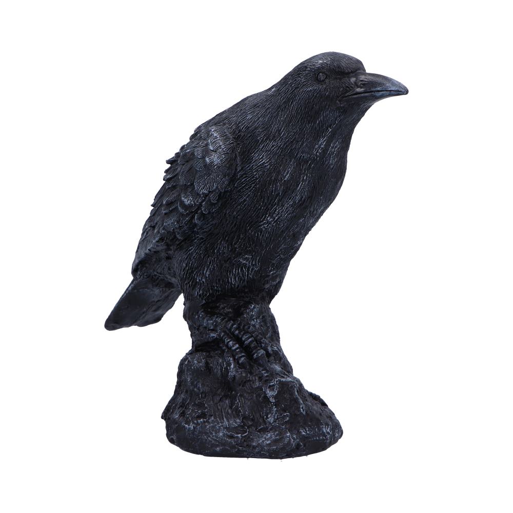 A black raven statue is perched atop a dark, rock-like base, with a white background.