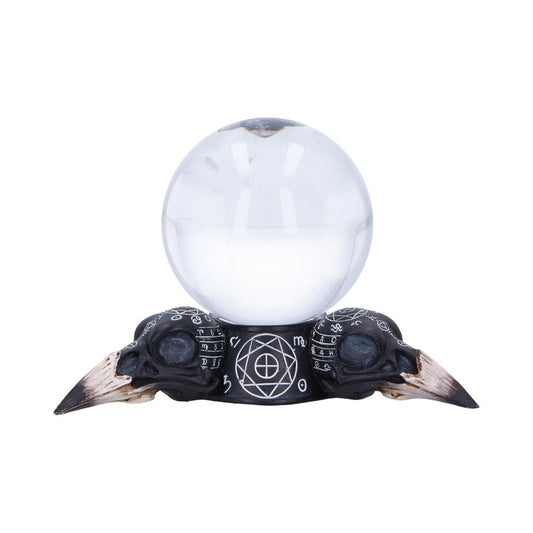 A clear crystal ball sits atop two sculpted, dark-colored bird skulls with tan beaks. The skulls have carved astrological symbols and patterns, and they are set against a white backdrop.