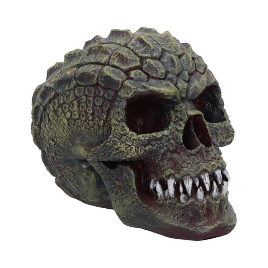 A textured, reptile-like skull with prominent teeth rests on a plain white background, displaying intricate scale patterns on its surface.