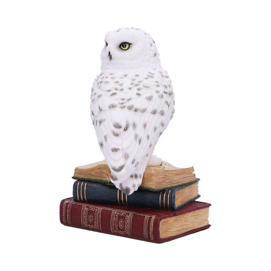 A snowy owl figurine rests atop a stack of three books, against a white background.
