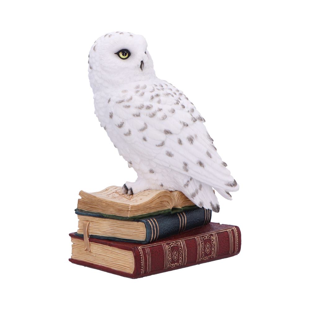 A snowy owl figurine perches on a stack of antique books against a white background.