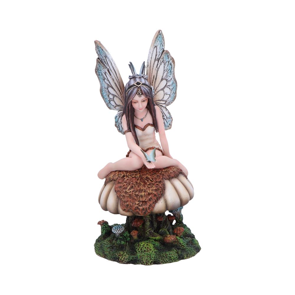 A fairy with delicate wings sits cross-legged on a large mushroom, holding a small object. The mushroom is lush, surrounded by smaller fungi and greenery.