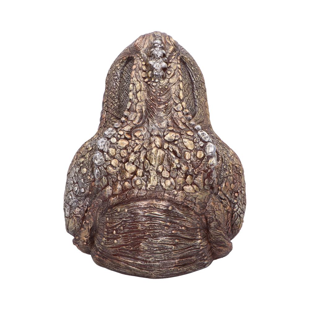 Tyrannosaurus Rex Dish 24cm
