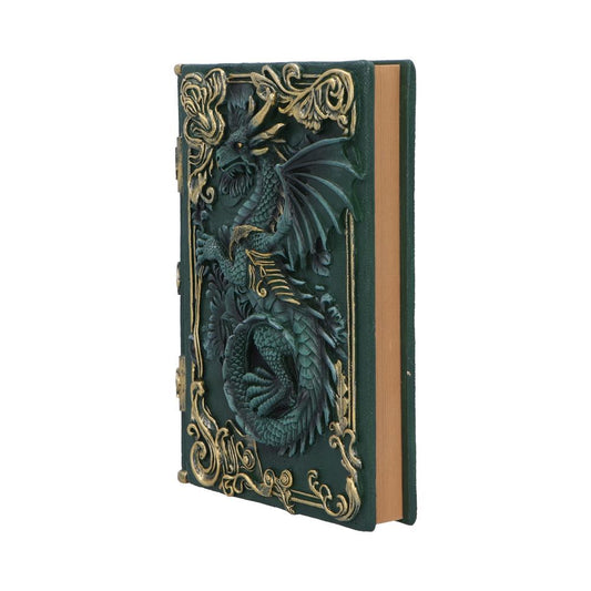 Leather-bound green book embossed with a coiled dragon in relief, dragon clutching its tail and displaying an outstretched wing, ornate gold filigree border, standing upright against a plain white background.
