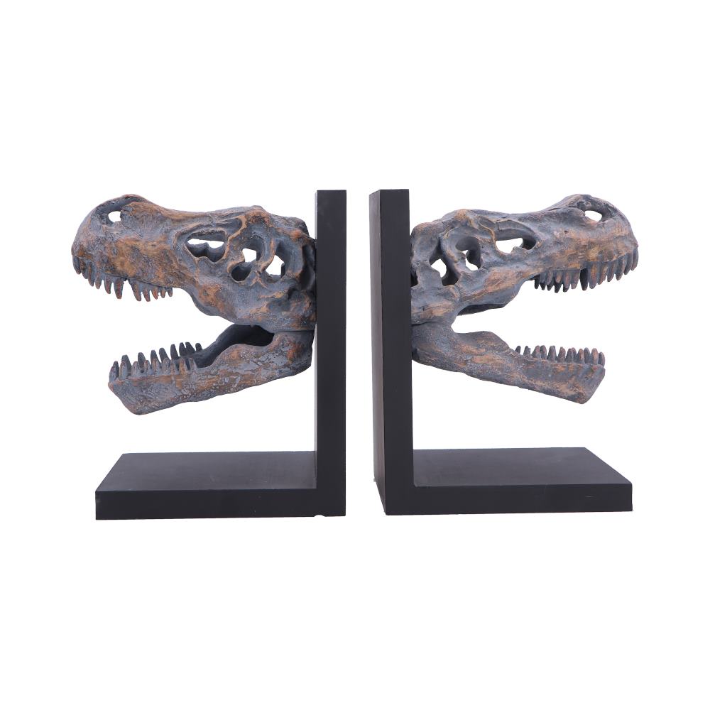 Tyrannosaurus Rex Skull Bookends - Alternate front of jaws and upright panels