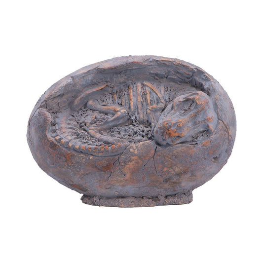 Tyrannosaurus Rex Egg Skeleton Figurine - Front showing baby skeleton inside cracked egg