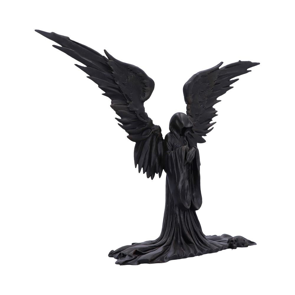 A black, hooded figure with large wings spreads them wide, standing in what appears to be a voluminous gown, with skulls at its feet, on a white background.
