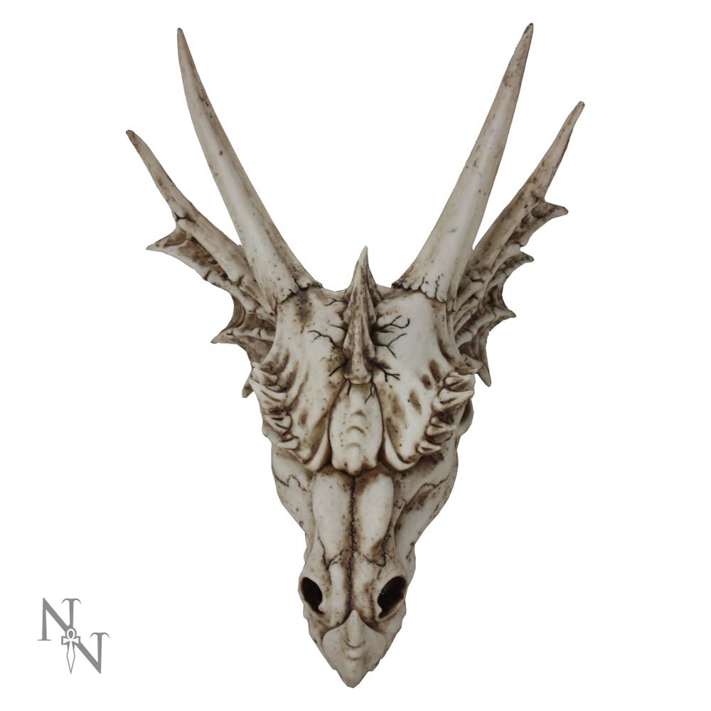 A dragon-like skull with prominent horns and intricate textures is hanging against a plain white background. "N N" logo appears in the lower left corner.