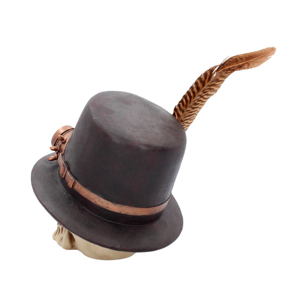 A dark hat with a copper band and feather sits on a skull. The feather curves elegantly, creating a steampunk-inspired aesthetic against a plain white background.