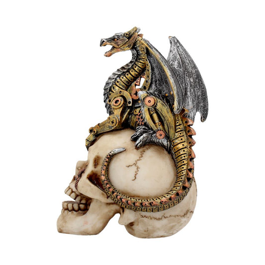 A mechanical dragon figurine sits atop a realistic human skull, its metallic tail wrapping around the skull. The dragon has intricate gears and wing details, set against a plain white background.