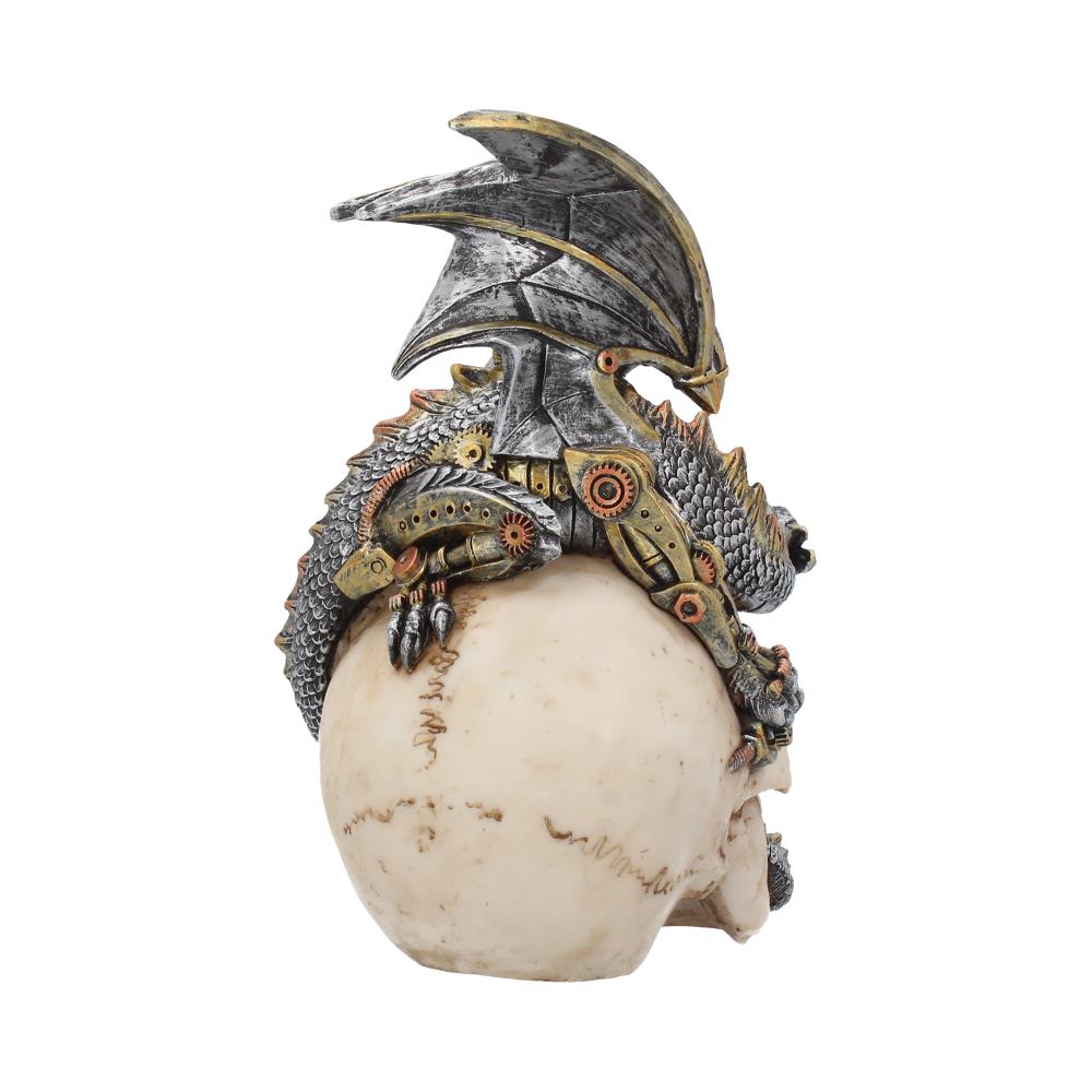 A metallic dragon with intricate gears and scales rests atop a lifelike human skull, creating a steampunk effect against a plain white background.