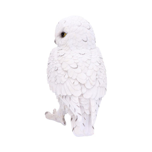 A snowy owl with white feathers stands looking to the side, displaying intricate plumage, against a plain white background.