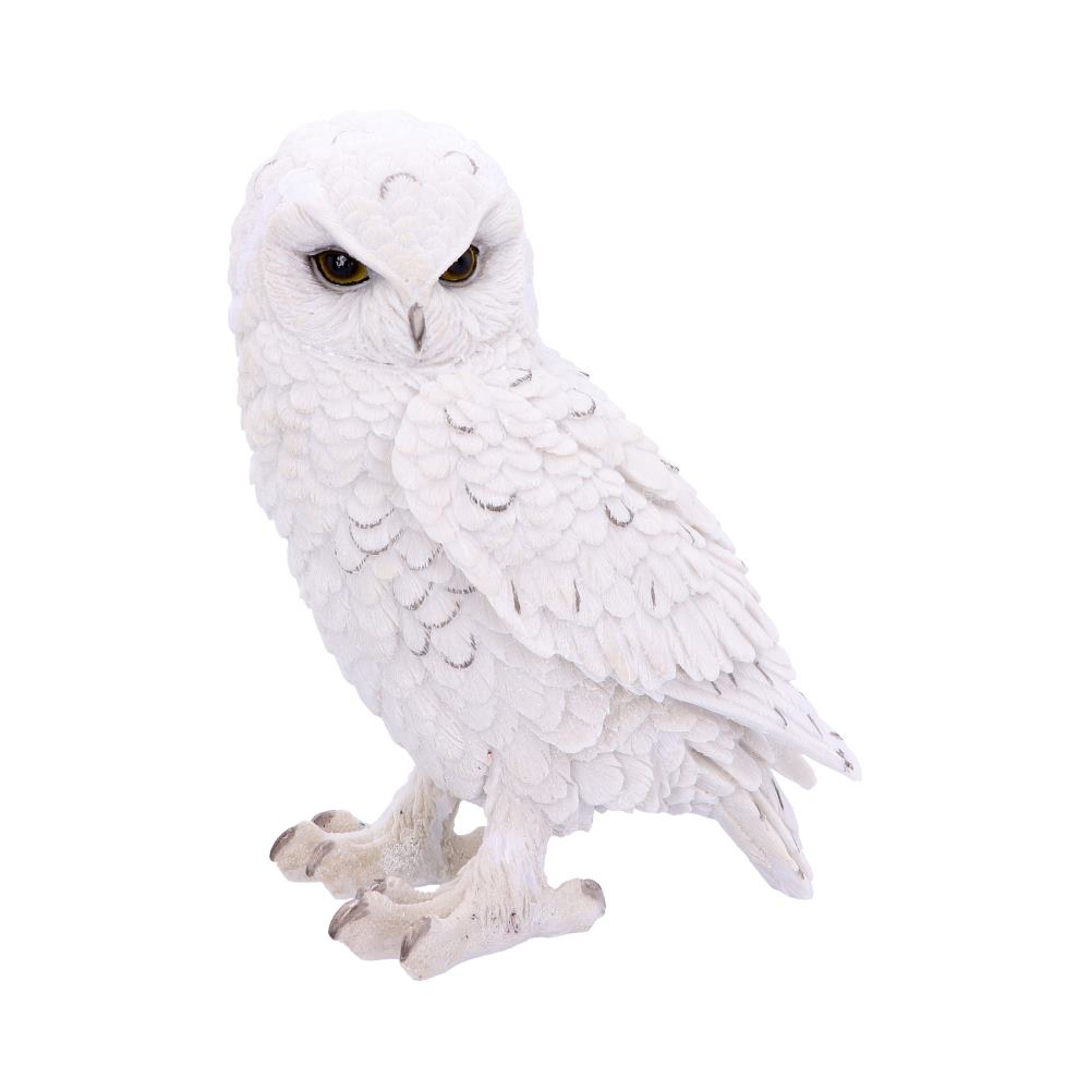 A white snowy owl with intricate feather detailing stands facing slightly to the side, displaying a watchful expression. The background is plain and unobtrusive.