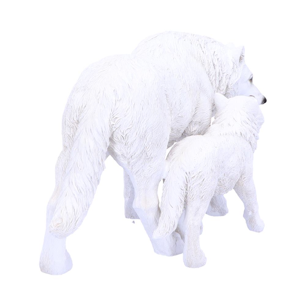 Winter Offspring 27.5cm