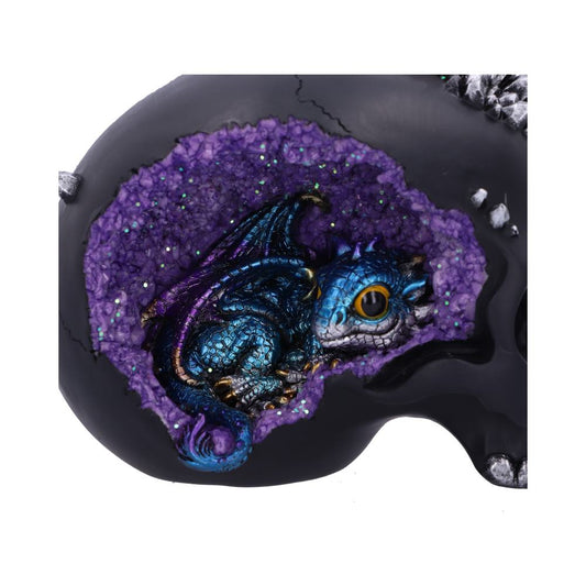 A small, blue dragon with golden eyes rests within a cavity of a black skull, surrounded by vibrant purple crystals, creating a mystical and enchanting scene.