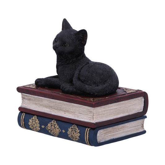 Salems Spells Cat On Spellbooks Figurine