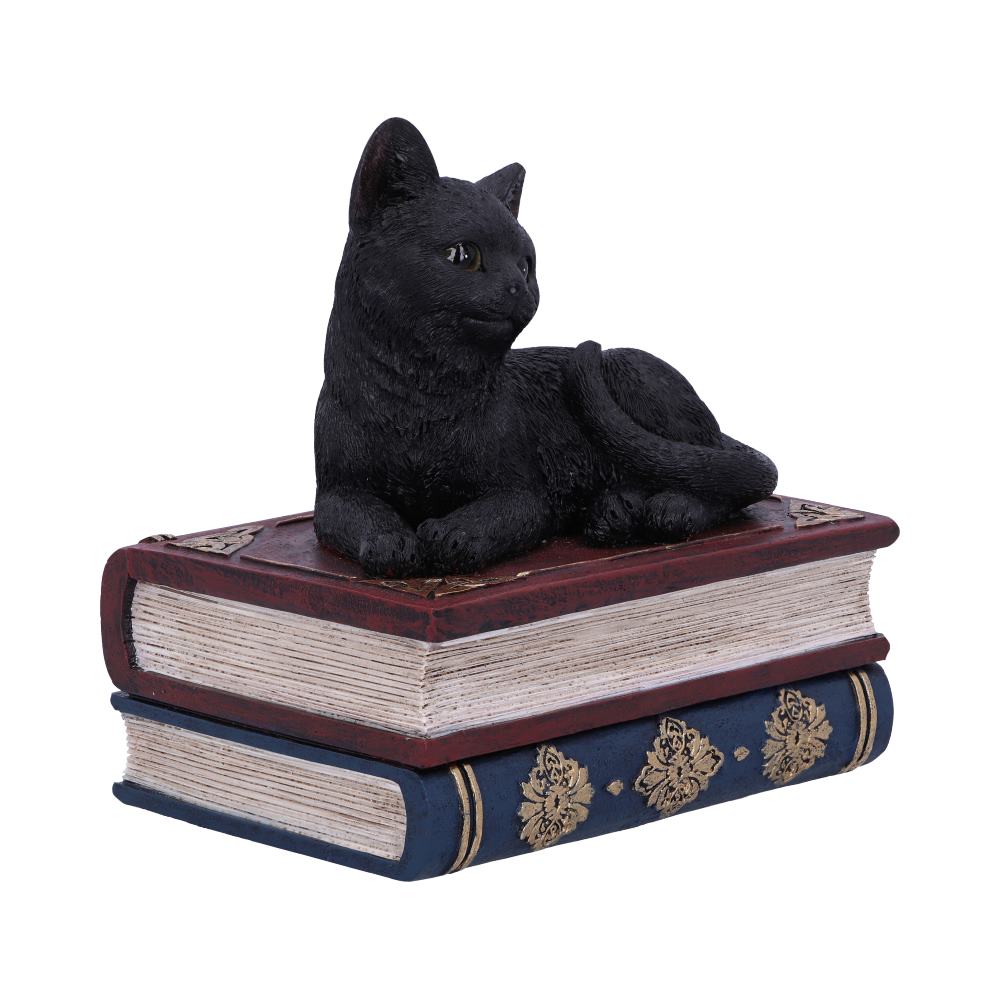 Salems Spells Cat On Spellbooks Figurine
