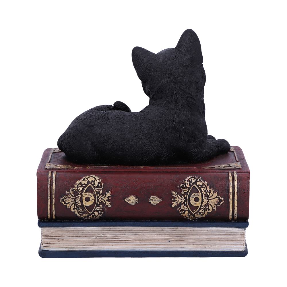 Salems Spells Cat On Spellbooks Figurine