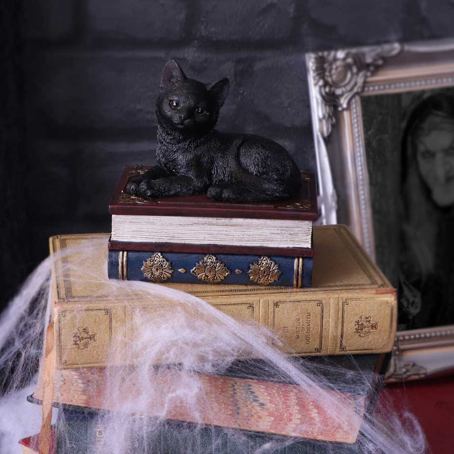 Salems Spells Cat On Spellbooks Figurine