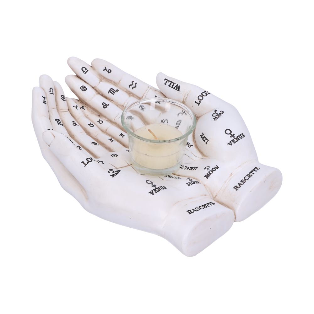 Palmists Guide (White) 22.3cm