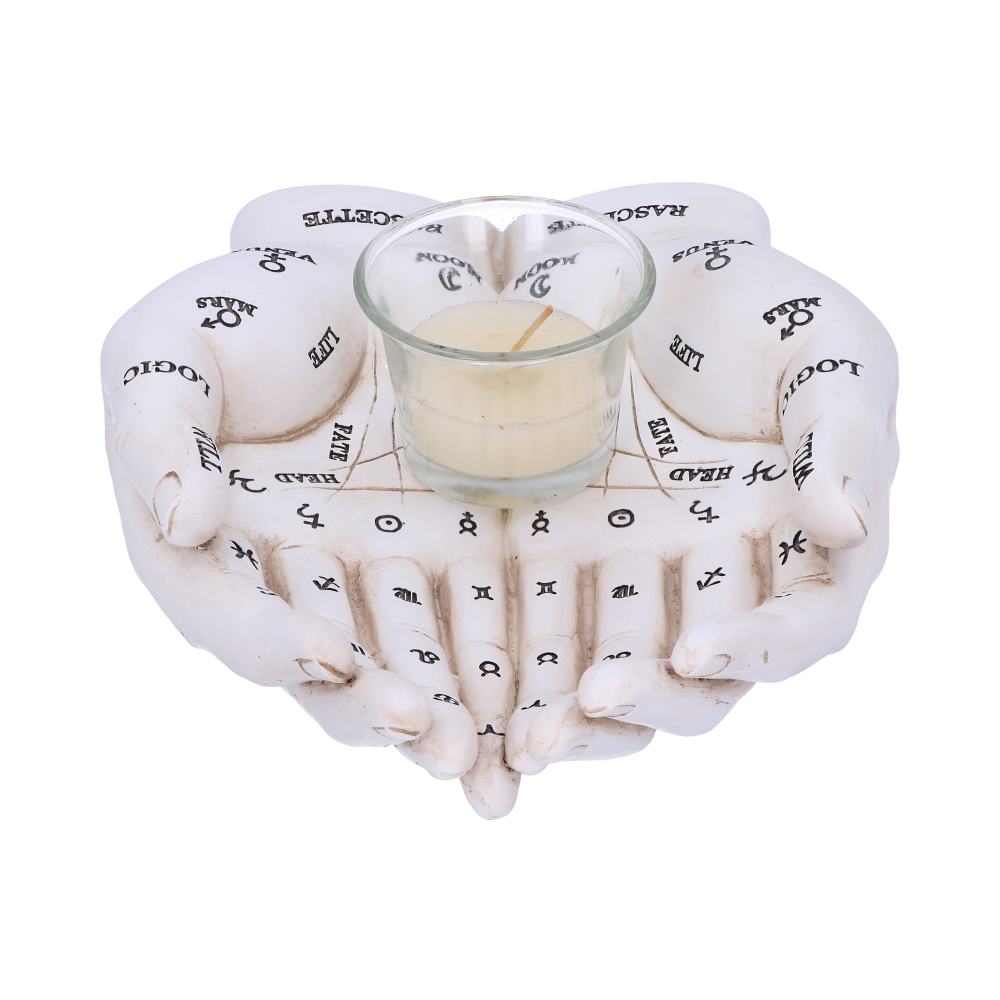 Palmists Guide (White) 22.3cm
