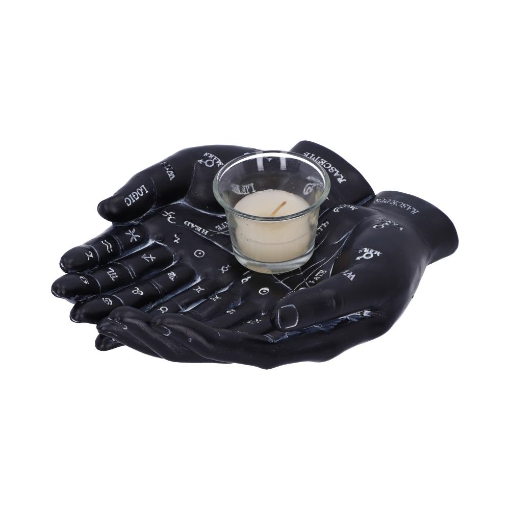 Palmists Guide (Black) 22.3cm