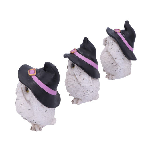 Three white owl figurines wear black witch hats with purple bands, aligned in a diagonal row, on a white background.