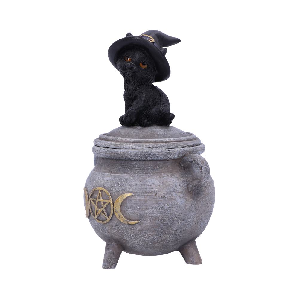 Kittys Brew 14cm
