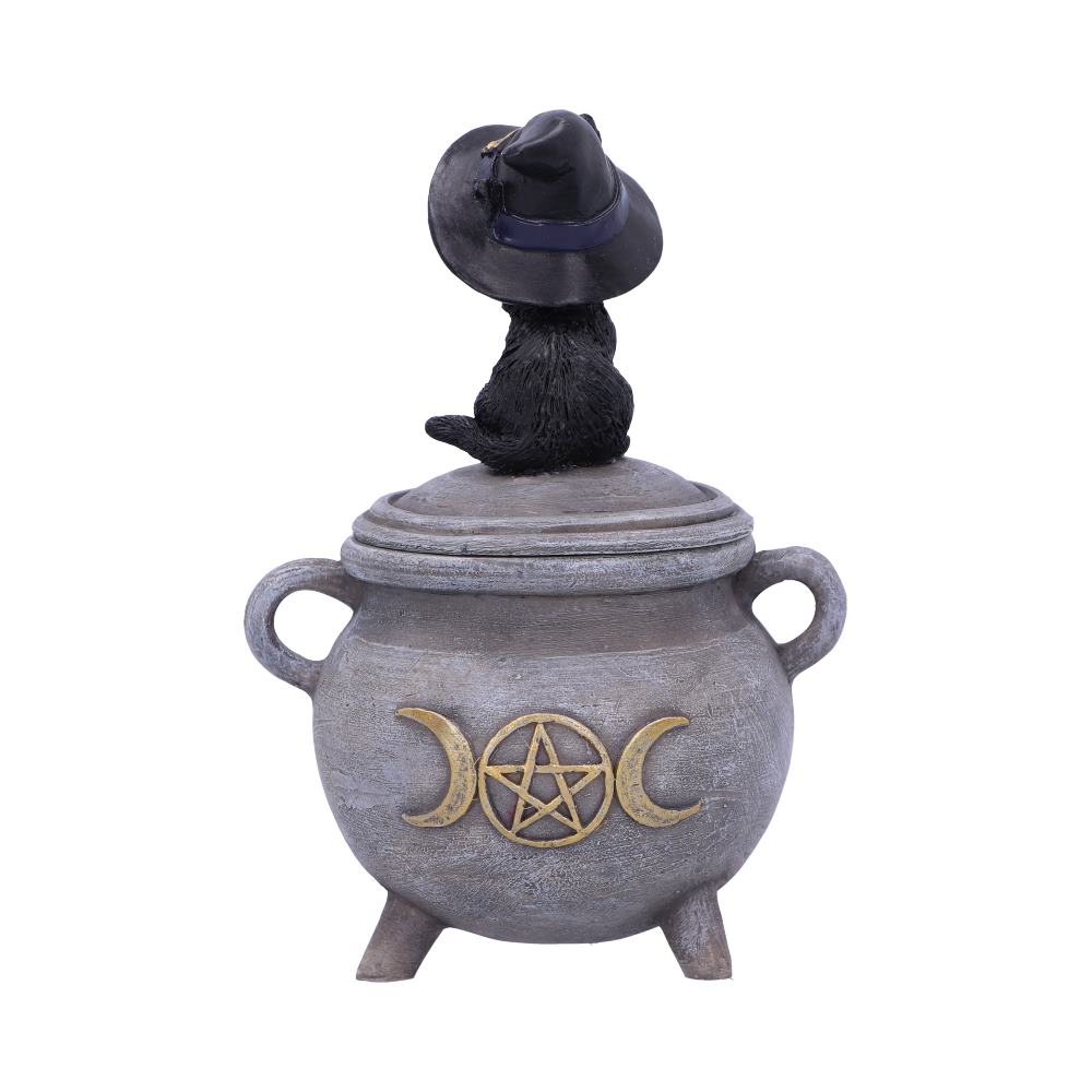 Kittys Brew 14cm