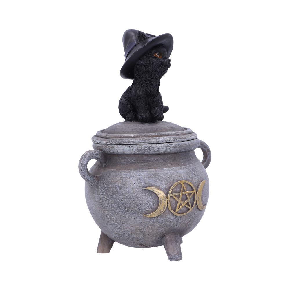 Kittys Brew 14cm