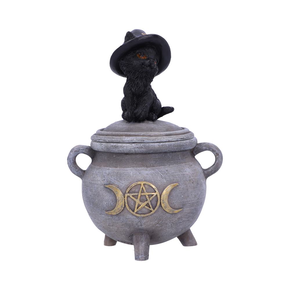 Kittys Brew 14cm
